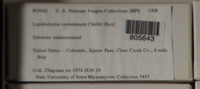 Image Associated With the Occurence